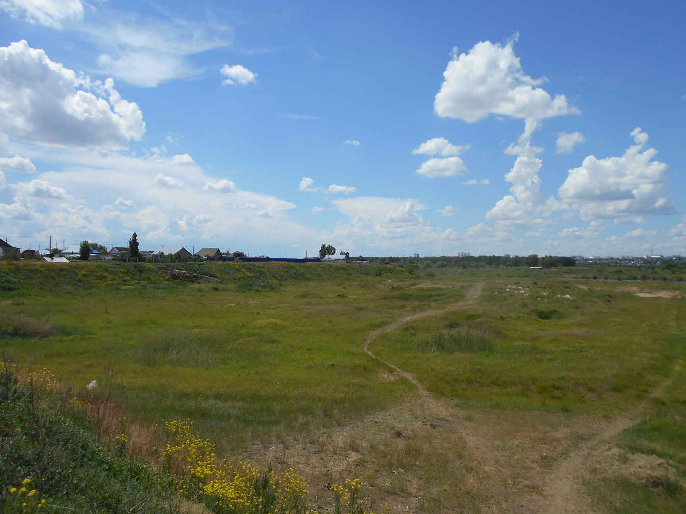 Желтая круча, image of landscape/habitat.