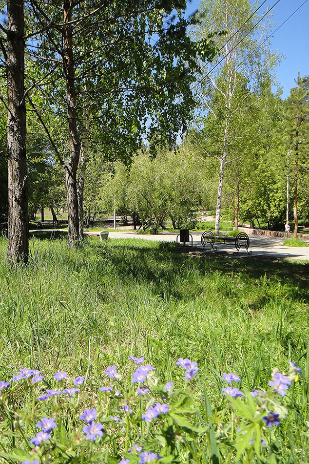 Иркутск, image of landscape/habitat.