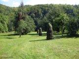 Image of landscape