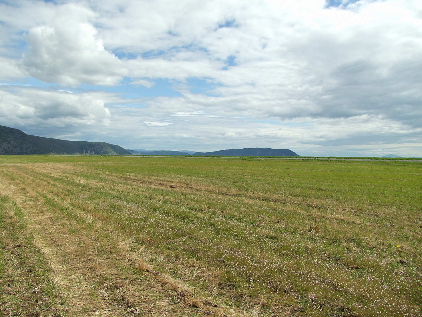 Арманское побережье, image of landscape/habitat.