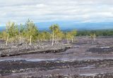 Image of landscape