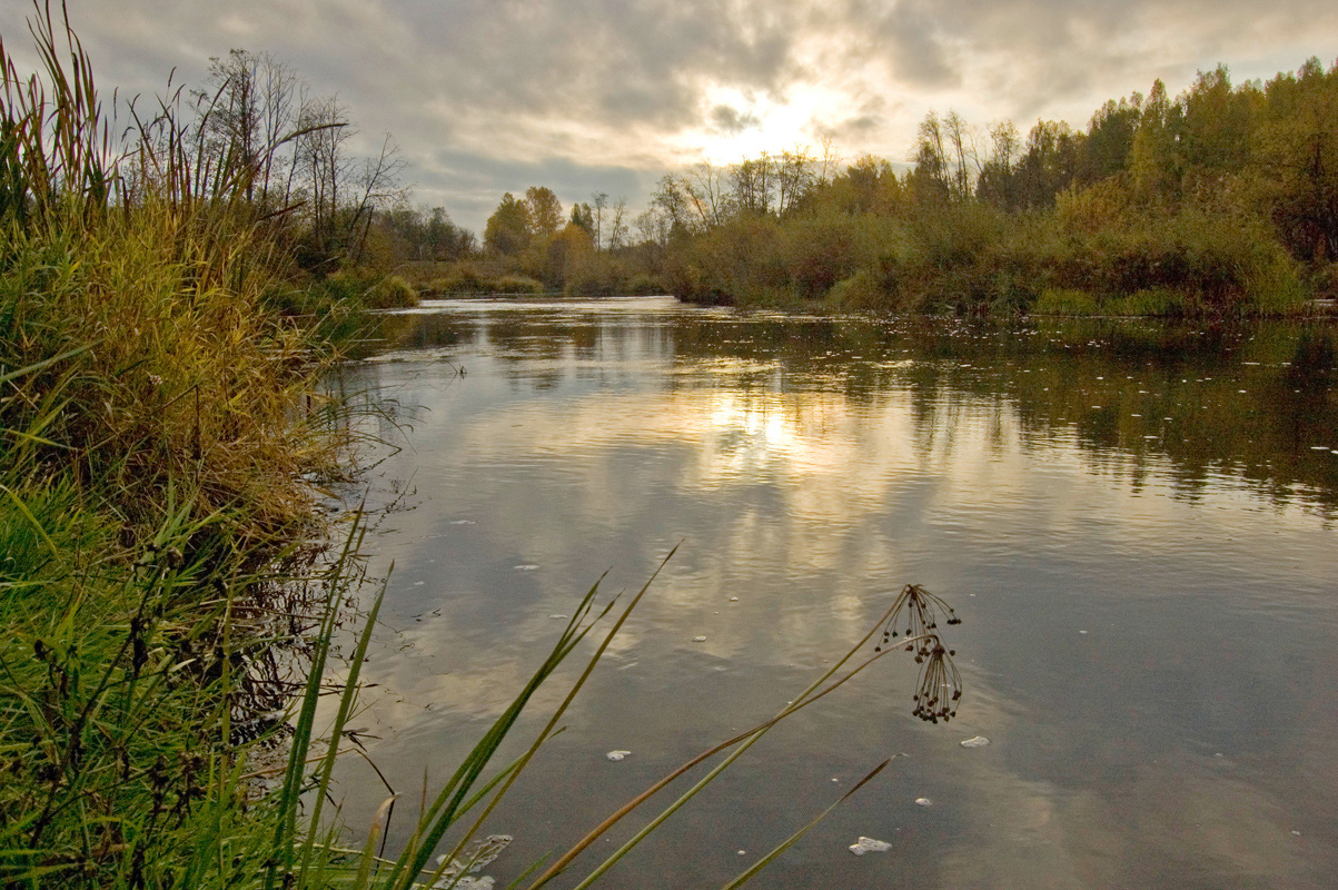 Окрестности деревни Рыжково, image of landscape/habitat.