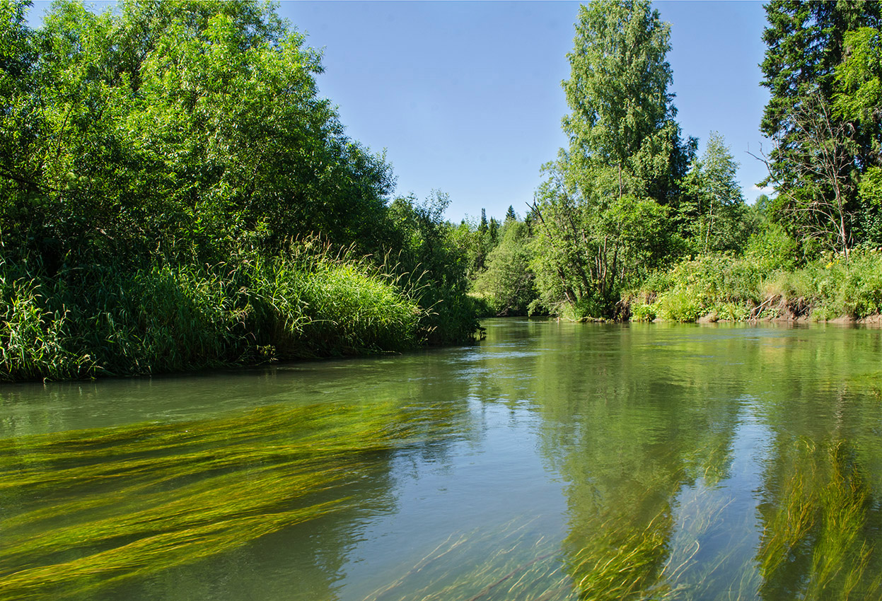 Окрестности деревни Боковая, image of landscape/habitat.