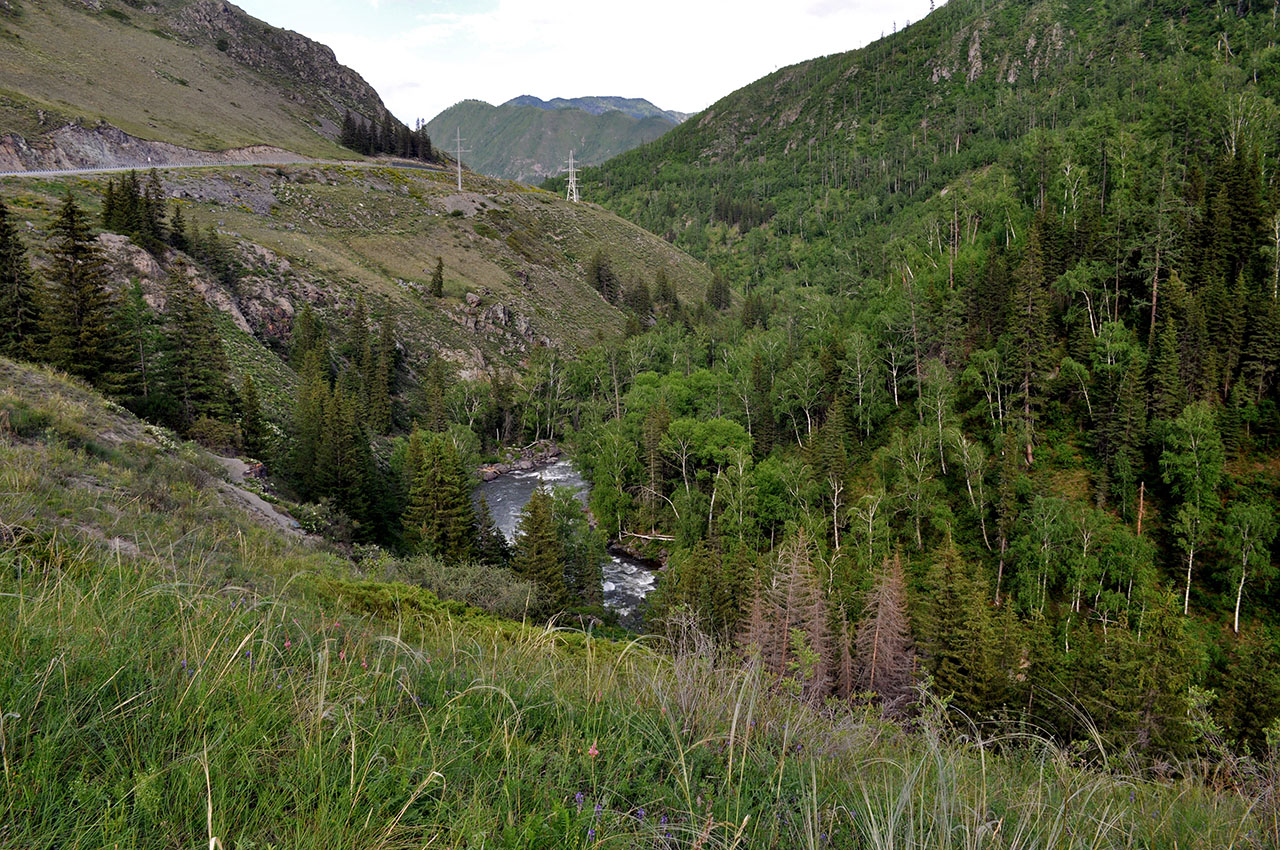 Низовья реки Урсул, image of landscape/habitat.