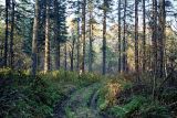 Баджальский хребет, image of landscape/habitat.