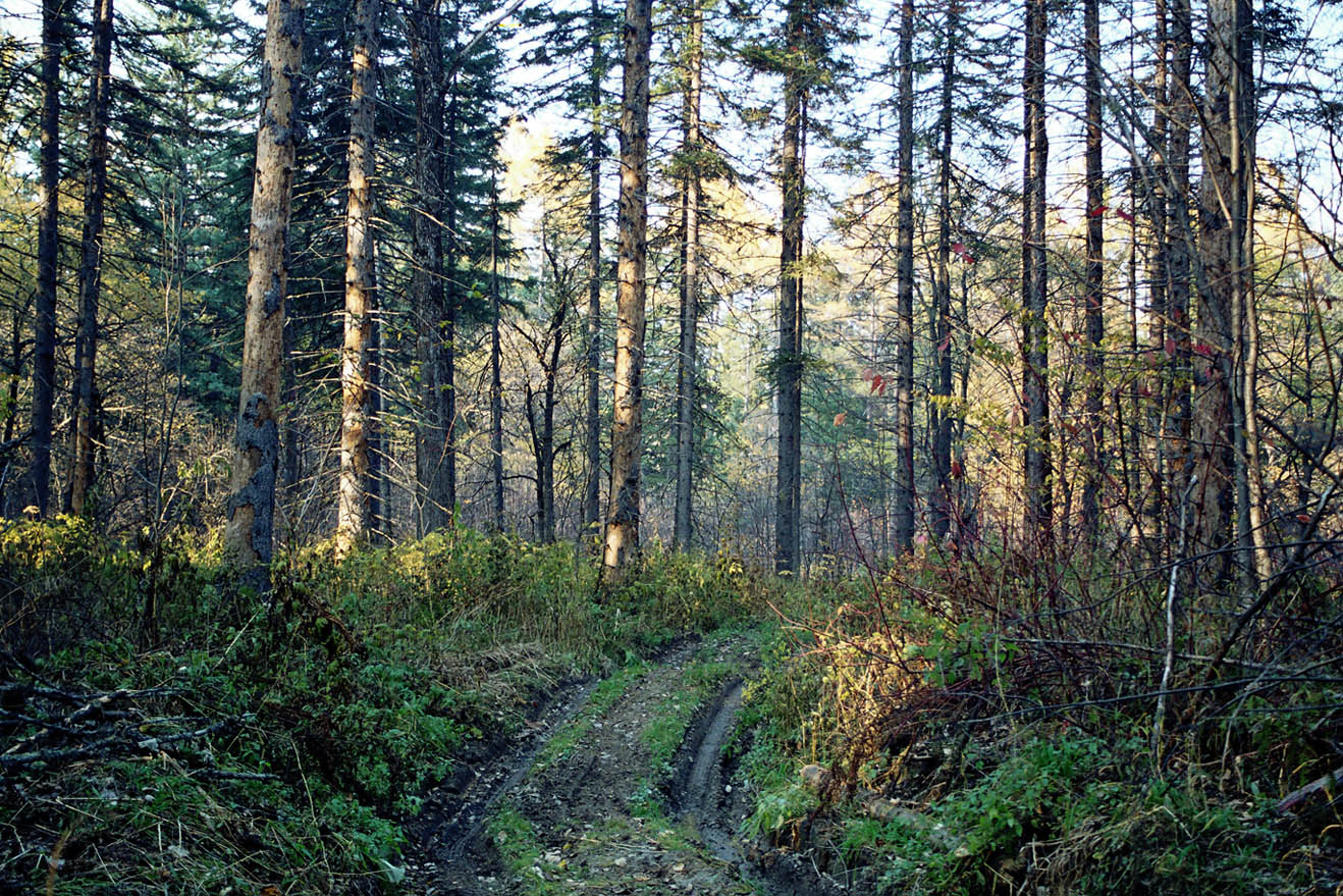 Баджальский хребет, image of landscape/habitat.