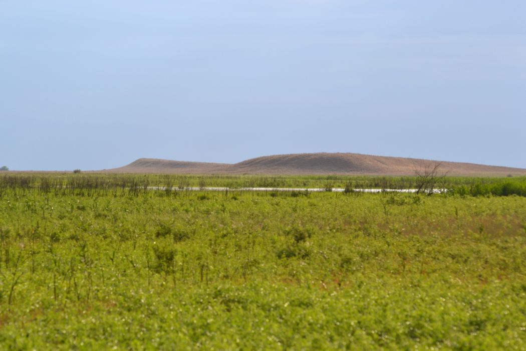 Дельта (средняя зона), image of landscape/habitat.