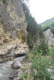Окрестности устья реки Кенхи, image of landscape/habitat.
