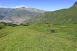 Айдарука-Цырт, image of landscape/habitat.