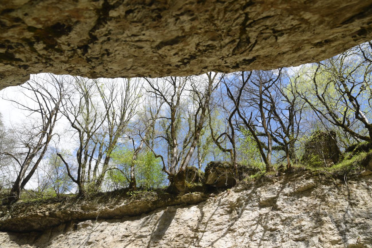 Огромные Глыбы, image of landscape/habitat.