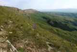 Большой Бермамыт, image of landscape/habitat.