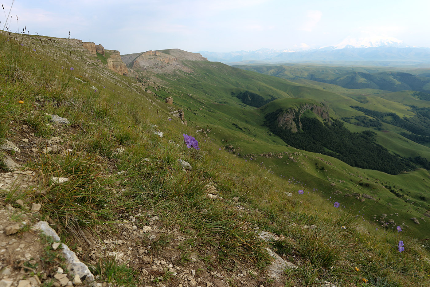 Большой Бермамыт, image of landscape/habitat.