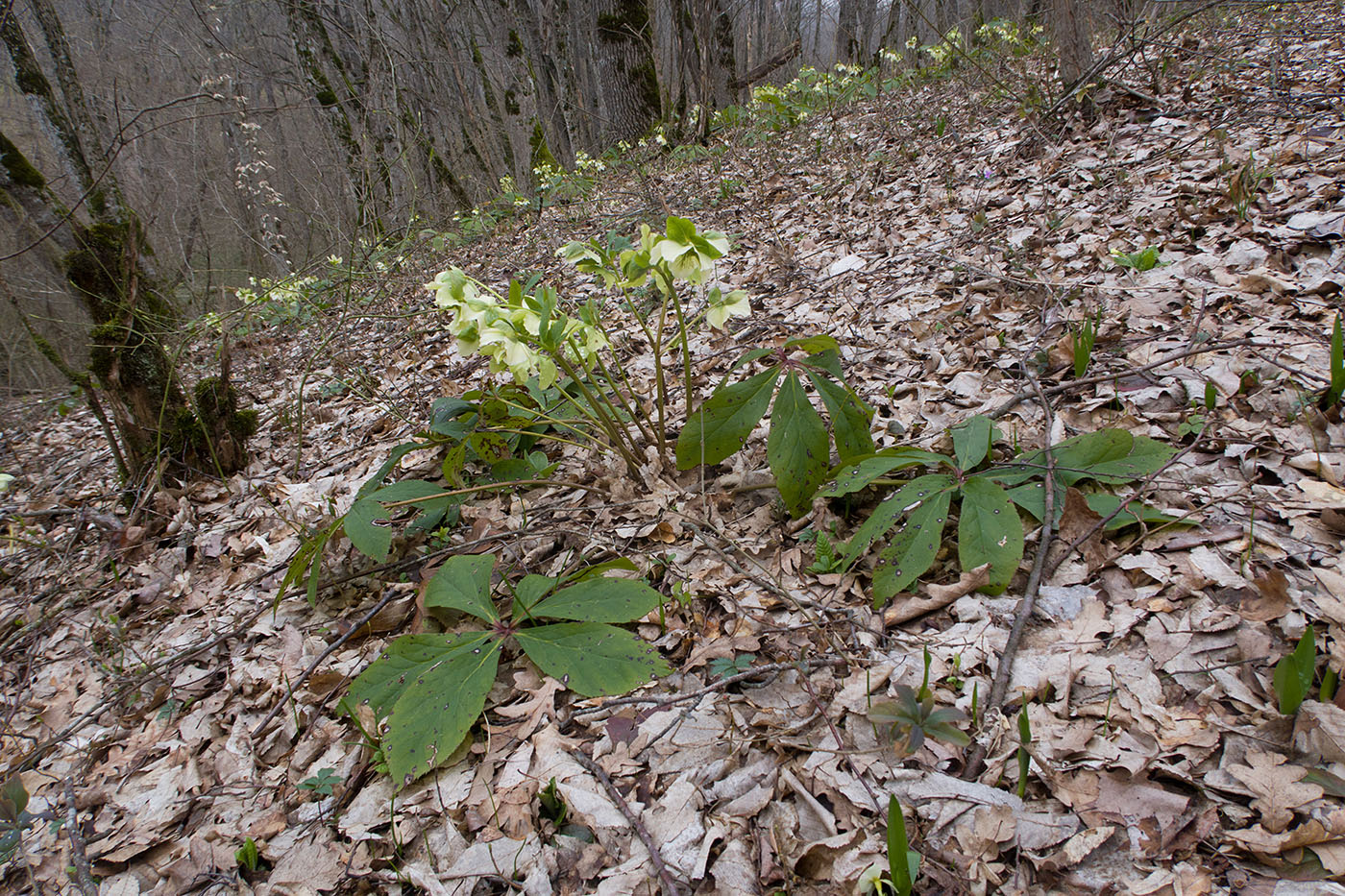 Глубокий Яр, image of landscape/habitat.