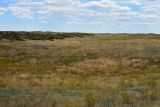 Бархан Большой Брат, image of landscape/habitat.