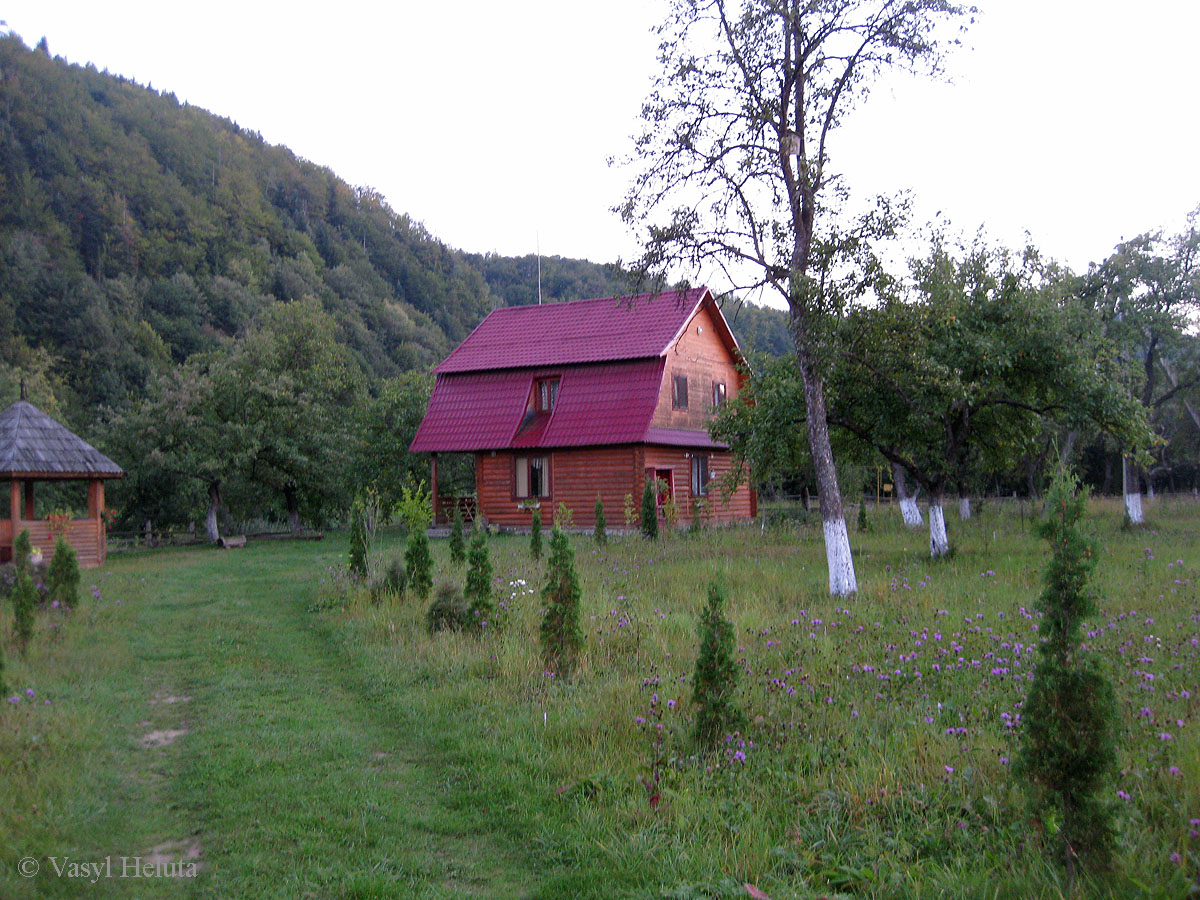 Шешоры, image of landscape/habitat.