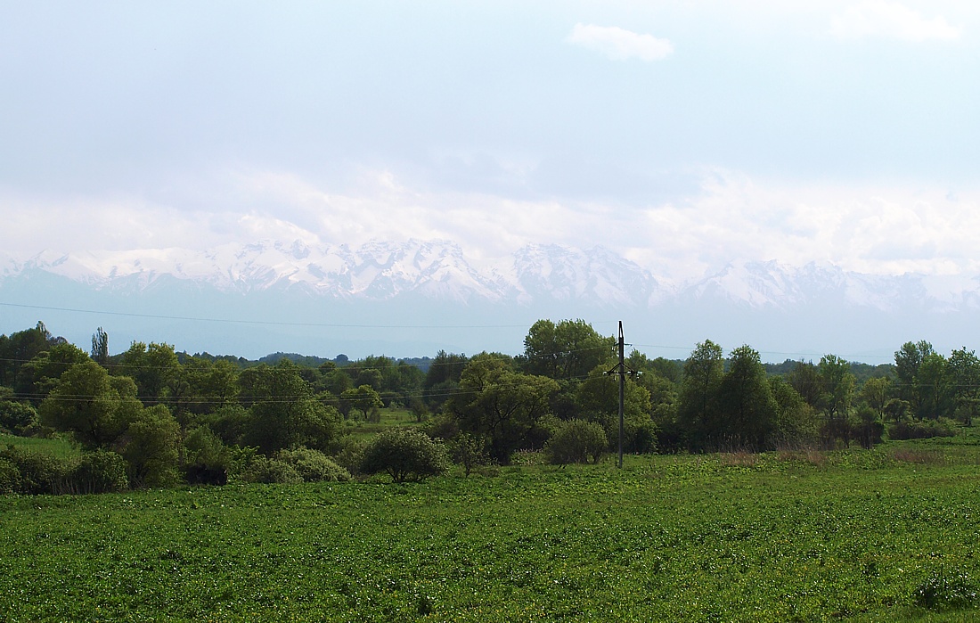 Север Осетинской равнины, image of landscape/habitat.