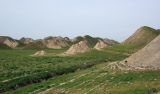 Image of landscape