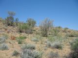 Image of landscape