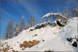 Долина реки Дебин, image of landscape/habitat.