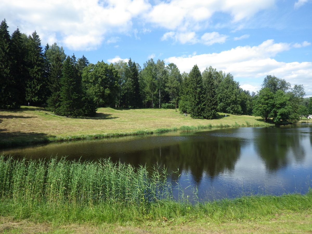 Павловск, image of landscape/habitat.