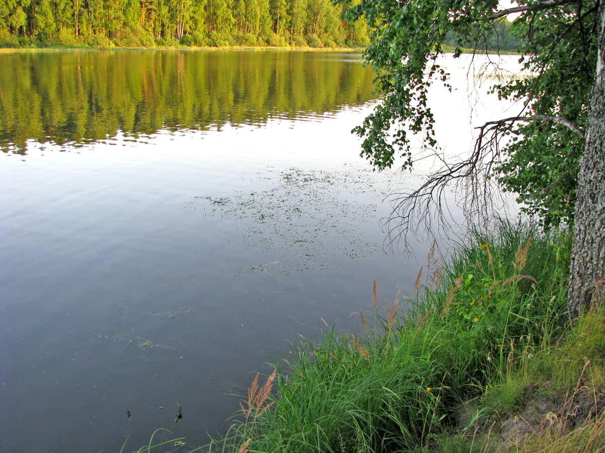 Долина Сёблы, image of landscape/habitat.