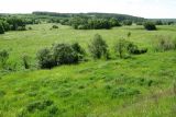 Image of landscape