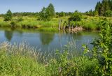 Окрестности деревни Боковая, image of landscape/habitat.