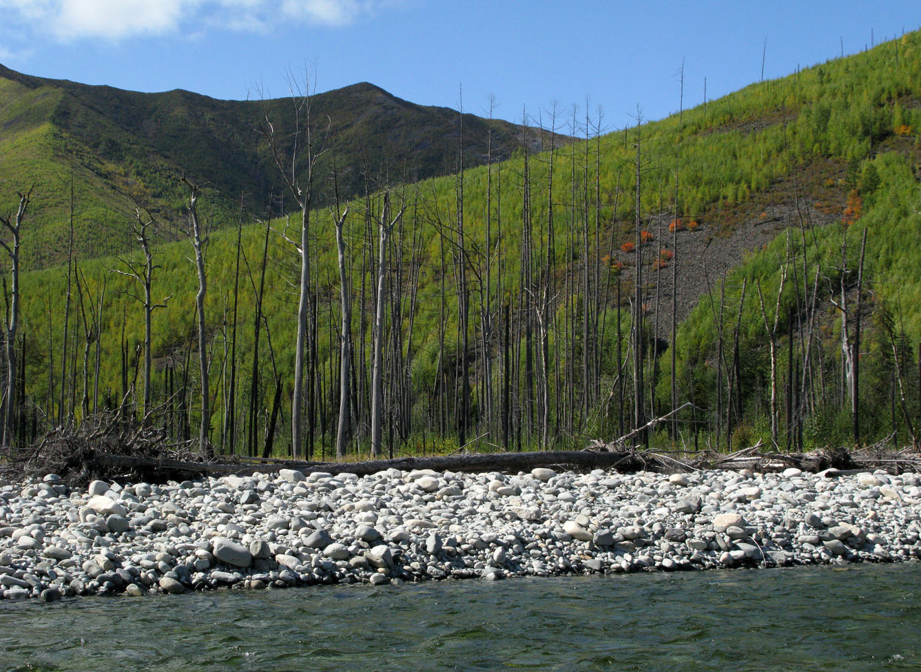 Баджальский хребет, image of landscape/habitat.