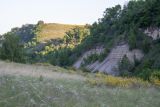 Image of landscape