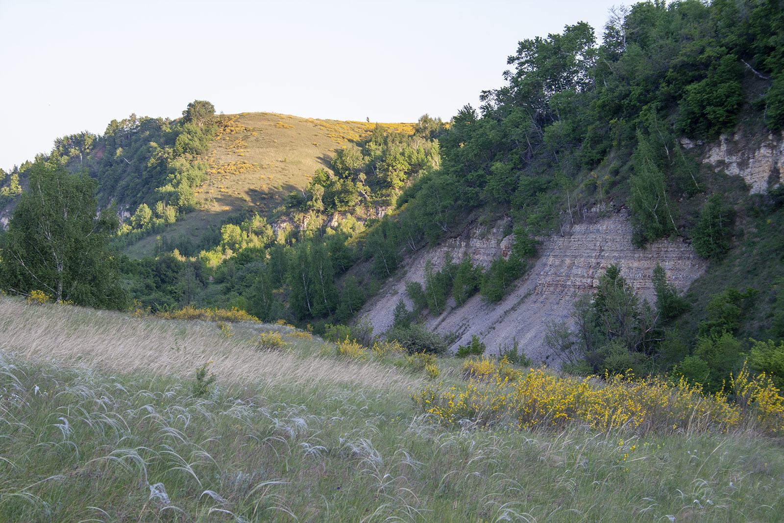 Балка Щербаковская, image of landscape/habitat.