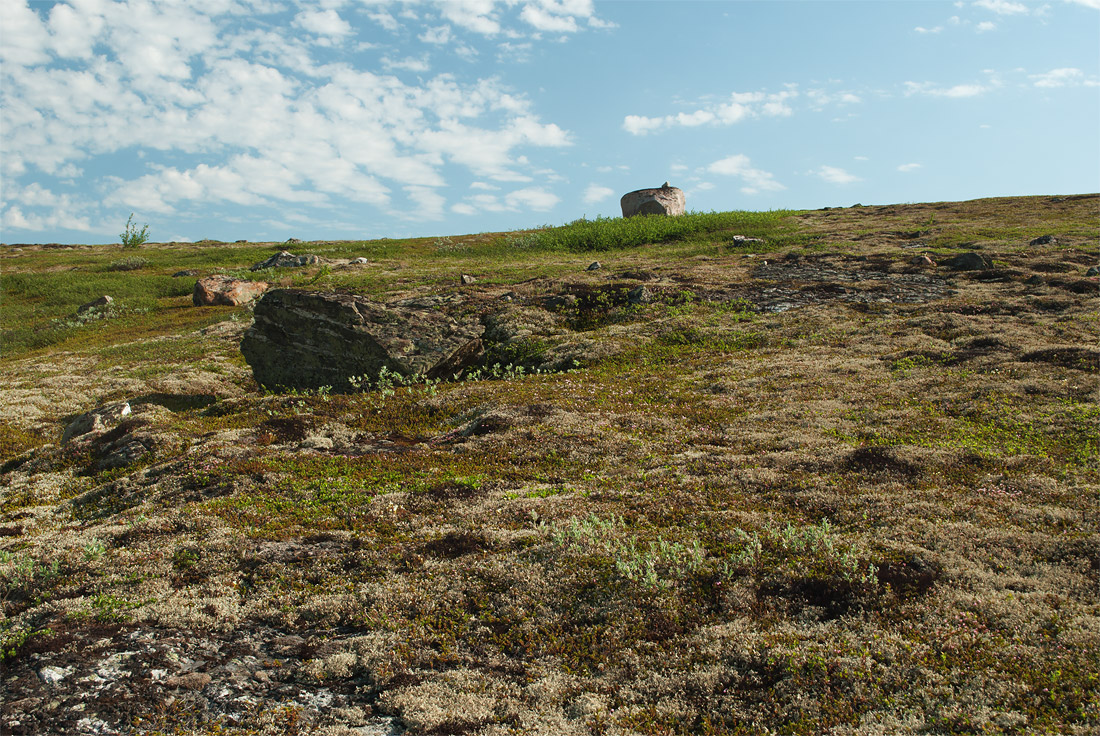 Окрестности Мурманска, image of landscape/habitat.