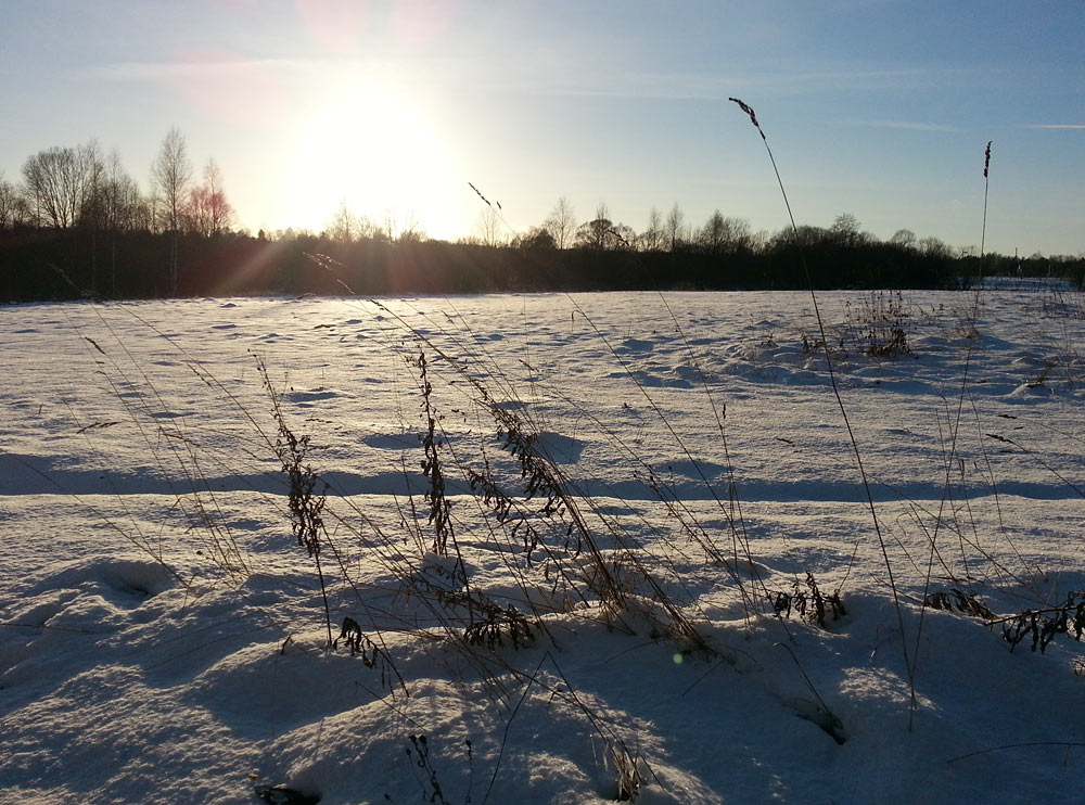 Сыркино, image of landscape/habitat.