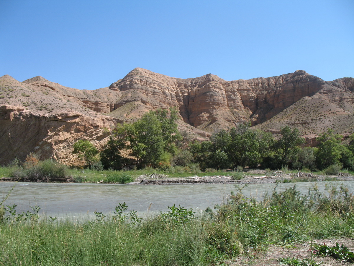 Куртогай, image of landscape/habitat.