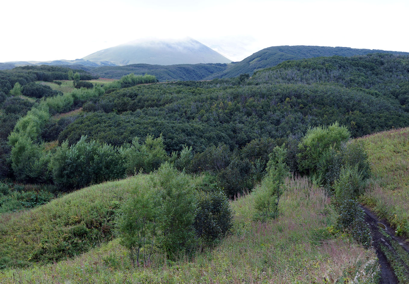 Подкова, image of landscape/habitat.