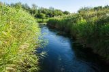 Окрестности деревни Комарово, image of landscape/habitat.