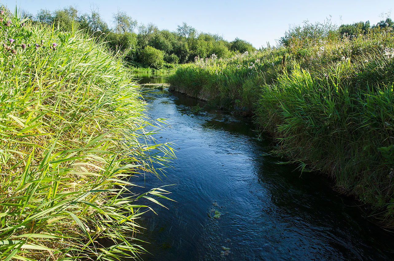 Окрестности деревни Комарово, image of landscape/habitat.