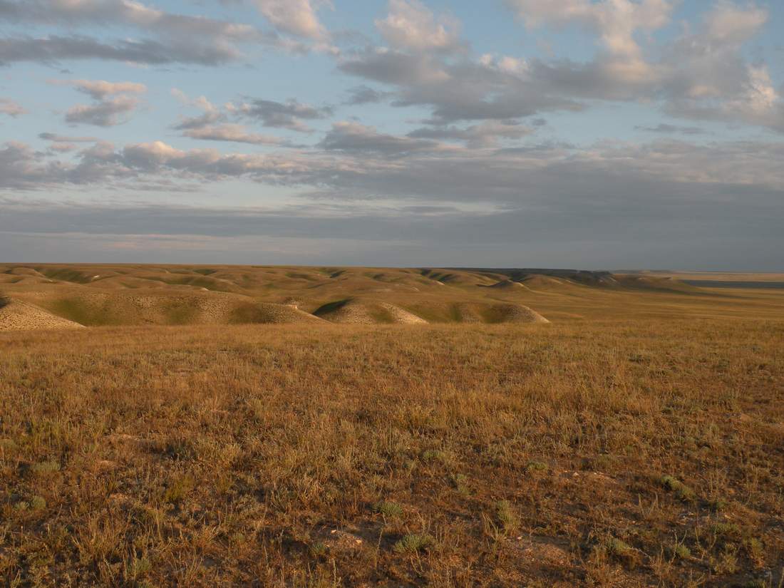 Ишкаргантау, image of landscape/habitat.