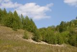 Image of landscape