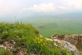 Джангур, image of landscape/habitat.