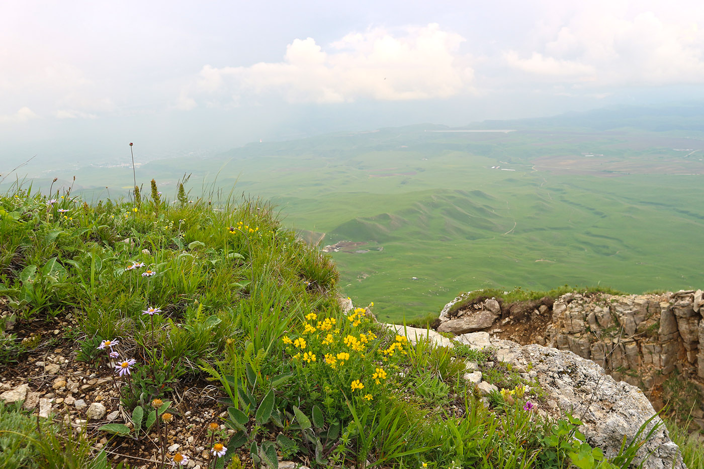 Джангур, image of landscape/habitat.