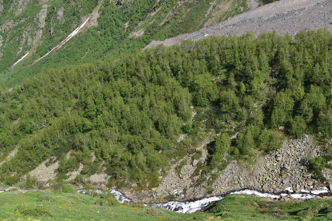 Долина реки Донгуз-Орун, image of landscape/habitat.