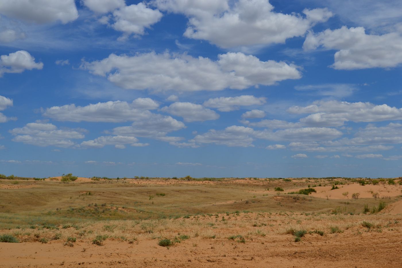 Бархан Большой Брат, image of landscape/habitat.