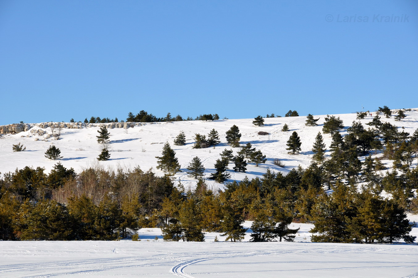 Ай-Петринская яйла, image of landscape/habitat.