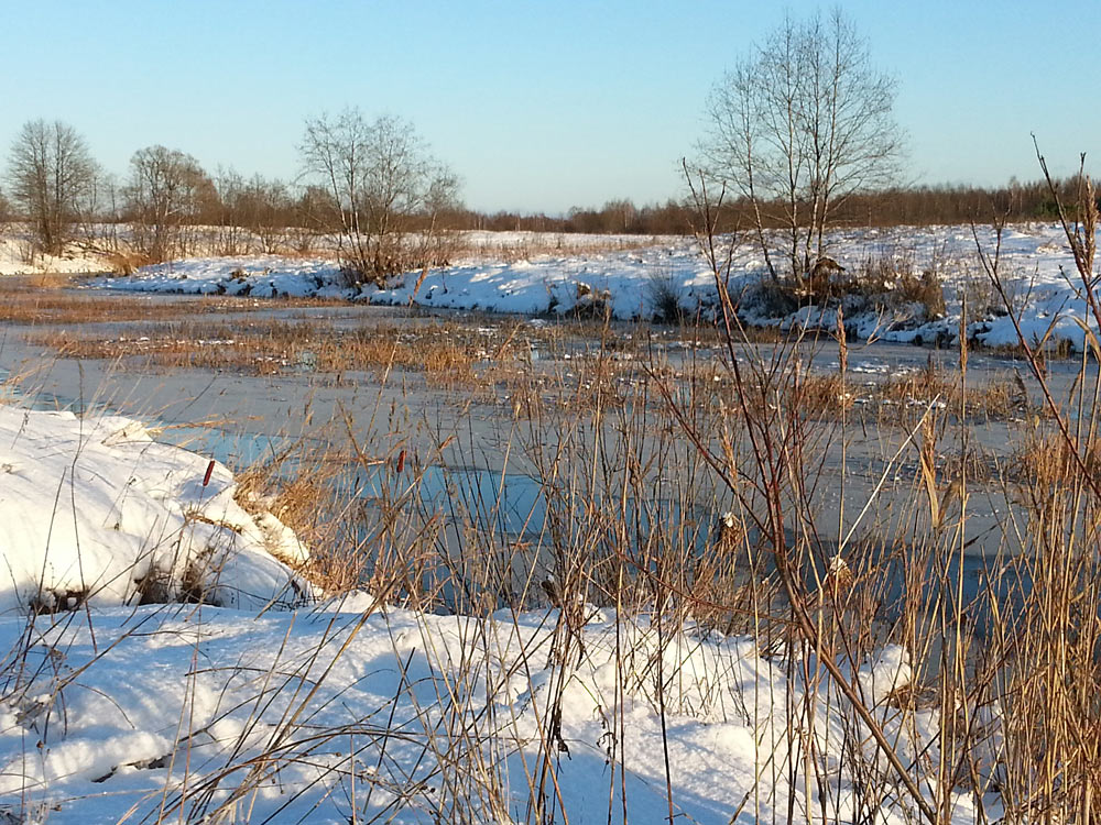 Сыркино, image of landscape/habitat.