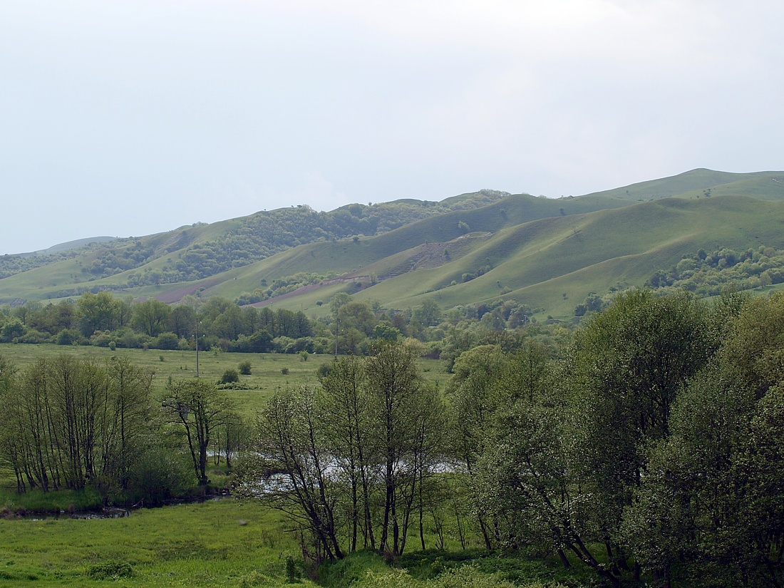 Север Осетинской равнины, изображение ландшафта.