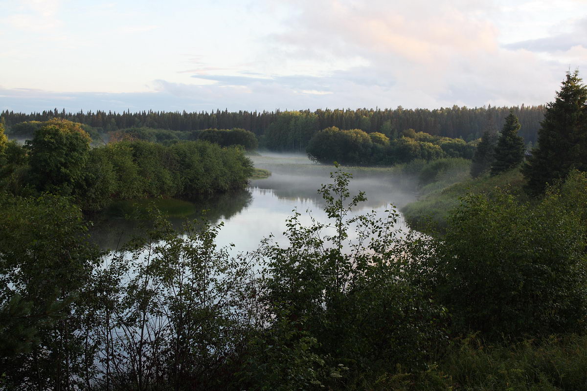 Двино-Пинежский лес, image of landscape/habitat.