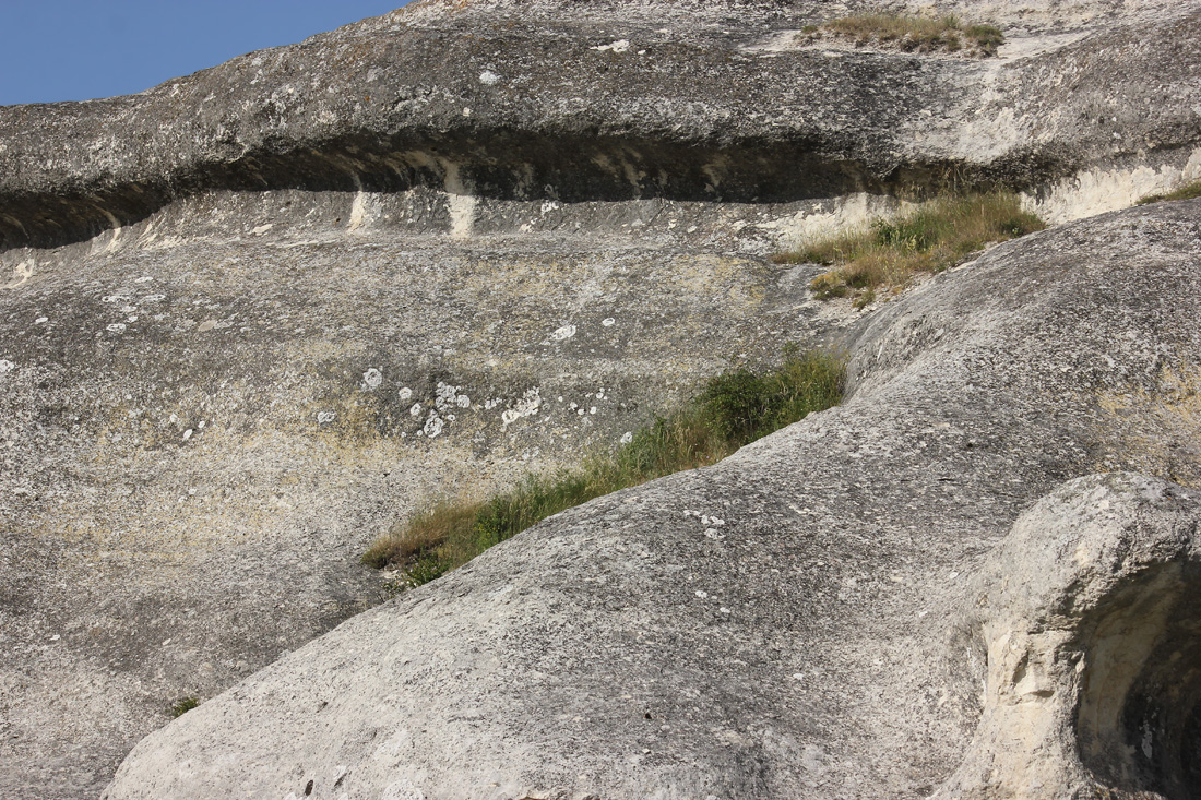 Белокаменное, image of landscape/habitat.