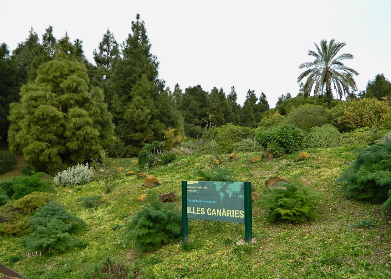 Ботанический сад Барселоны, image of landscape/habitat.
