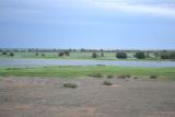 Дельта (средняя зона), image of landscape/habitat.