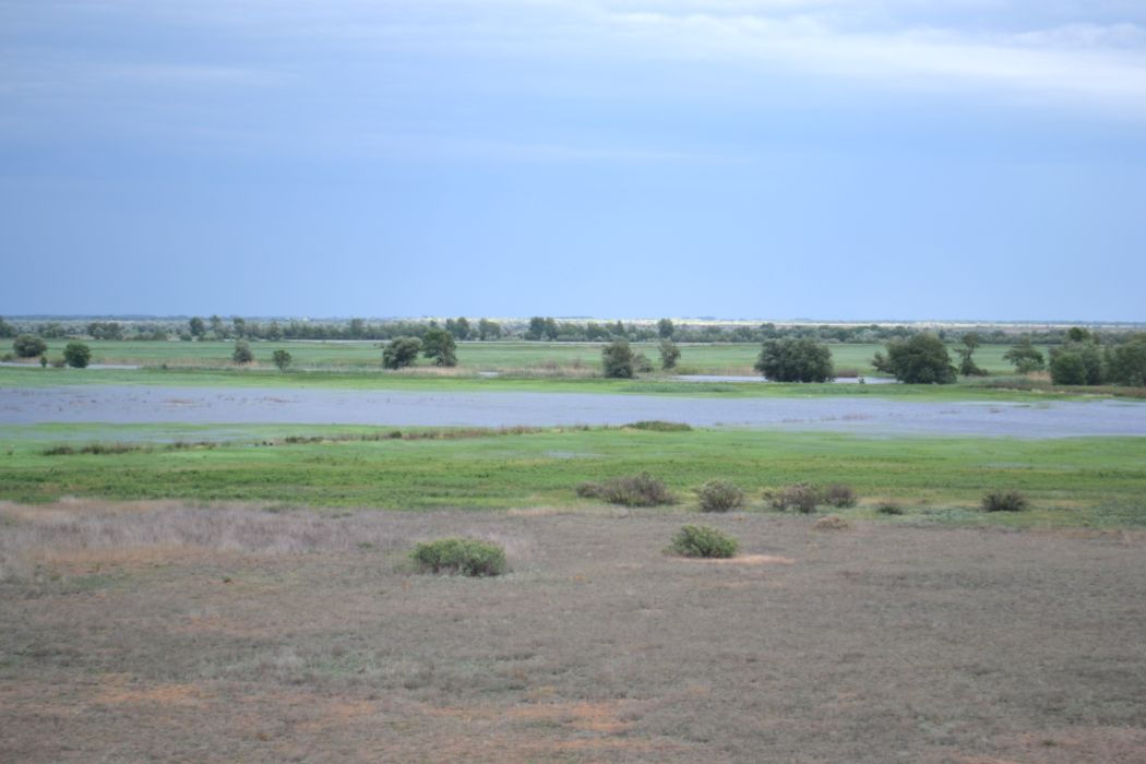 Дельта (средняя зона), image of landscape/habitat.